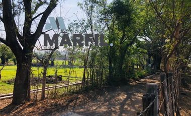 Rancho en Venta para Agricultura o Ganadería en Juluapan, Colima