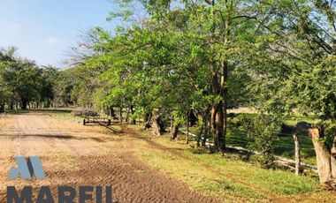 Rancho en Venta para Agricultura o Ganadería en Juluapan, Colima
