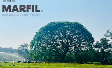 Rancho en Venta para Agricultura o Ganadería en Juluapan, Colima