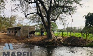 Rancho en Venta para Agricultura o Ganadería en Juluapan, Colima