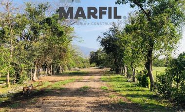 Rancho en Venta para Agricultura o Ganadería en Juluapan, Colima