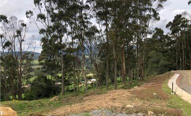 Venta de Lote en Unidad Cerrada en el Alto de Palmas