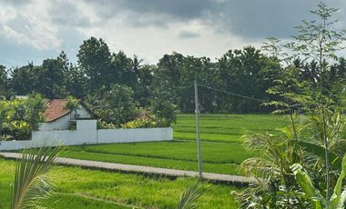 For Sale Charming Balinese-Style Villa in Ubud