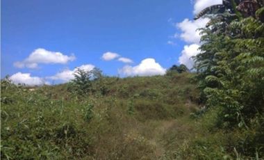 Jual Tanah Luas Cocok Untuk Apa Saja di Sorong Klamono daerah Aimas Sorong