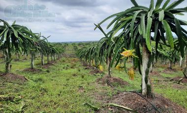 VENTA DE FINCA IDEAL PARA INVERSIONISTAS EN CHONGON