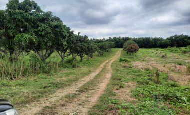 VENTA DE FINCA IDEAL PARA INVERSIONISTAS EN CHONGON