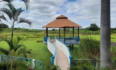 VENTA DE FINCA IDEAL PARA INVERSIONISTAS EN CHONGON