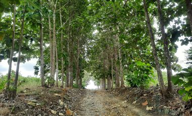 VENTA DE FINCA IDEAL PARA INVERSIONISTAS EN CHONGON