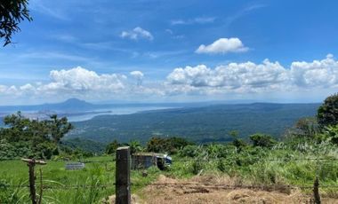 For Sale Commercial Lot along Emilio Aguinaldo Highway, Tagaytay City- CRS0077