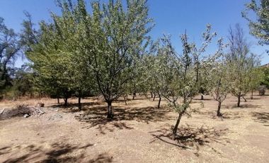 PARCELA VENTA CONDOMINIO VALLE  LOS NARANJOS/ CURACAVI