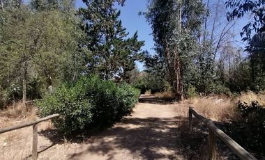 PARCELA VENTA CONDOMINIO VALLE  LOS NARANJOS/ CURACAVI