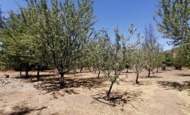 PARCELA VENTA CONDOMINIO VALLE  LOS NARANJOS/ CURACAVI