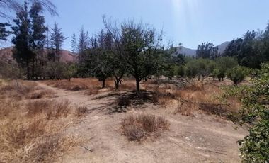 PARCELA VENTA CONDOMINIO VALLE  LOS NARANJOS/ CURACAVI