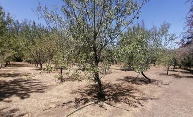 PARCELA VENTA CONDOMINIO VALLE  LOS NARANJOS/ CURACAVI