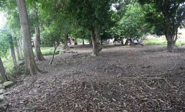 SE VENDE LOTE EN LA MARGEN IZQUIERDA DE MONTERA