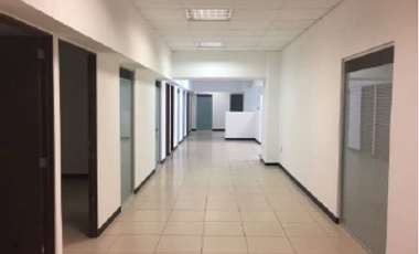 OFICINAS EN RENTA EN EL CENTRO