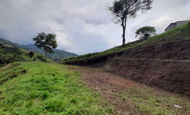 LOTE EN VENTA EN LA ROMELIA/DOSQUEBRADAS