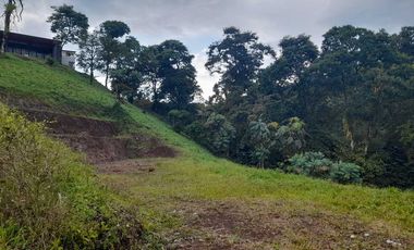 LOTE EN VENTA EN LA ROMELIA/DOSQUEBRADAS