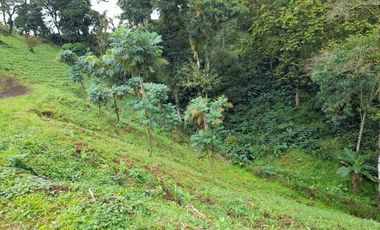 LOTE EN VENTA EN LA ROMELIA/DOSQUEBRADAS