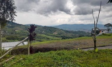 LOTE EN VENTA EN LA ROMELIA/DOSQUEBRADAS