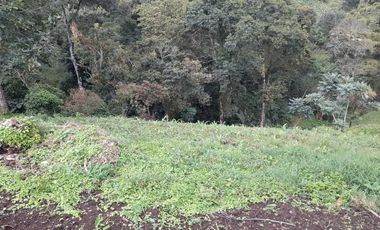 LOTE EN VENTA EN LA ROMELIA/DOSQUEBRADAS