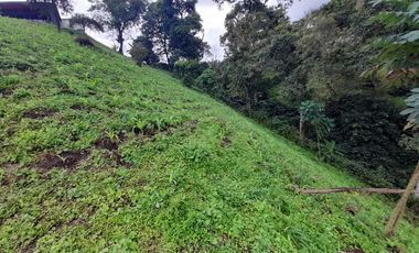 LOTE EN VENTA EN LA ROMELIA/DOSQUEBRADAS