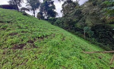 LOTE EN VENTA EN LA ROMELIA/DOSQUEBRADAS