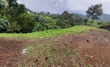 LOTE EN VENTA EN LA ROMELIA/DOSQUEBRADAS