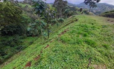 LOTE EN VENTA EN LA ROMELIA/DOSQUEBRADAS