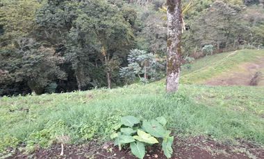 LOTE EN VENTA EN LA ROMELIA/DOSQUEBRADAS