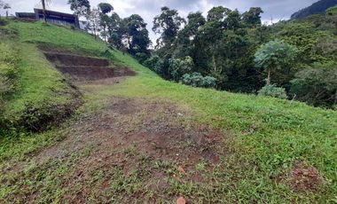 LOTE EN VENTA EN LA ROMELIA/DOSQUEBRADAS