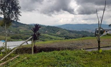 LOTE EN VENTA EN LA ROMELIA/DOSQUEBRADAS