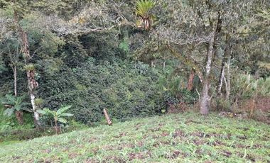 LOTE EN VENTA EN LA ROMELIA/DOSQUEBRADAS