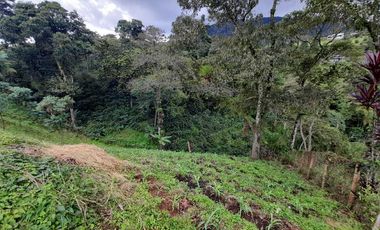 LOTE EN VENTA EN LA ROMELIA/DOSQUEBRADAS