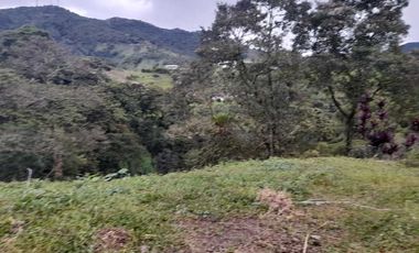 LOTE EN VENTA EN LA ROMELIA/DOSQUEBRADAS