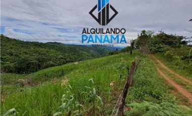 Se Vende Finca Ganadera 33 Ha Herrera Chepo USD255000