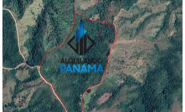 Se Vende Finca Ganadera 33 Ha Herrera Chepo USD255000