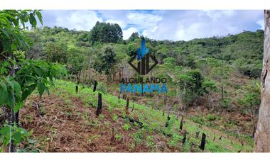 Se Vende Finca Ganadera 33 Ha Herrera Chepo USD255000