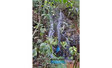 Se Vende Finca Ganadera 33 Ha Herrera Chepo USD255000