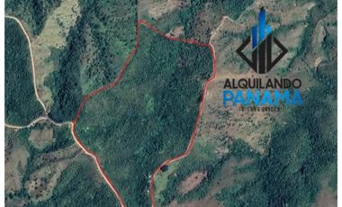 Se Vende Finca Ganadera 33 Ha Herrera Chepo USD255000