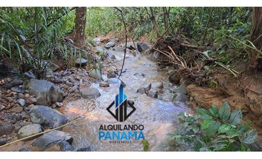 Se Vende Finca Ganadera 33 Ha Herrera Chepo USD255000