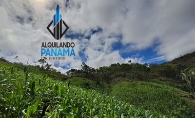 Se Vende Finca Ganadera 33 Ha Herrera Chepo USD255000