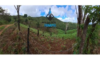 Se Vende Finca Ganadera 33 Ha Herrera Chepo USD255000