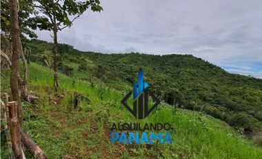 Se Vende Finca Ganadera 33 Ha Herrera Chepo USD255000