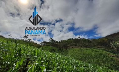 Se Vende Finca Ganadera 33 Ha Herrera Chepo USD255000