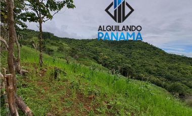 Se Vende Finca Ganadera 33 Ha Herrera Chepo USD255000