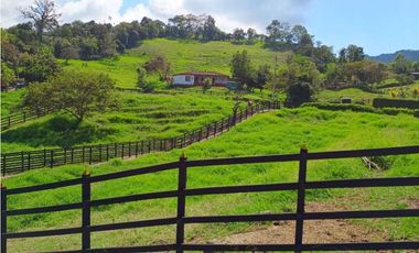 VENTA FINCA TITIRIBI, SUROESTE ANTIOQUEÑO