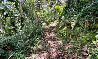 Venta Casa Campestre NUEVA Independiente El Retiro
