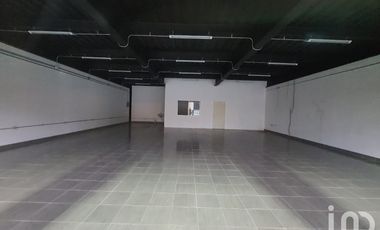 Local en renta para Minisuper de 180m2 Planta Baja frente a CINETIX Plaza Orquídeas Coatepec, Ver.