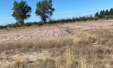 Campo de 3 has ingreso por calle  Vargas y Castro Barros Maipu